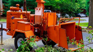 Maybe you would like to learn more about one of these? Types Of Wood Chippers Everything You Need To Know Organize With Sandy