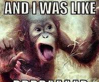 You have to let go to move forward. Cute Humor Pictures Photos Images And Pics For Facebook Tumblr Pinterest And Twitter