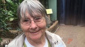 This is the reality': Woman shares stark video as her elderly mum waits  nine hours in an ambulance