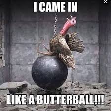 I Came In Like A Butterball But Hunting A Wild Turkey For Thanksgiving Dinner Is Better Funny Thanksgiving Memes Thanksgiving Meme Thanksgiving Pictures