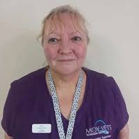 Our Vets & Specialists