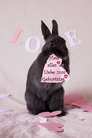 Hasemaus Ich Wunsche Dir Einen Ganz Besonders Schonen Geburtstag 3 3 3ich Hatte Ihn Gerne Fur Dich Vorbereitet Dir Ei Susse Tiere Hasenbabies Susse Tiere Bilder