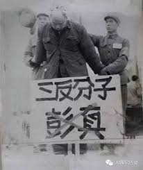 Image result for 文革批斗图片