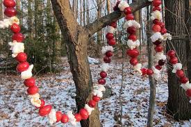 Instant digital downloads · create your own playlists Bird Feeder Cranberry Garland Project