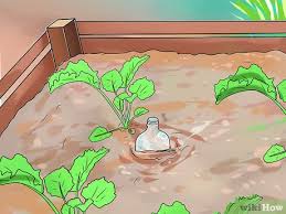 We did not find results for: Ø±ÙŠ Ø§Ù„Ù†Ø¨Ø§ØªØ§Øª ÙˆØ£Ù†Øª Ù…Ø³Ø§ÙØ± Wikihow