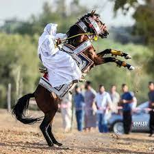 فارس ليبي libya arabian art international culture