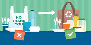 How to Avoid Single-Use Plastics | Green Mountain Energy