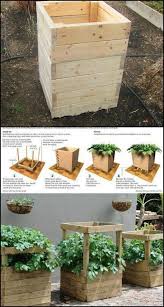 Slim Fit Jeans Fur Damen Growing Vegetables Raised Garden Garden Boxes