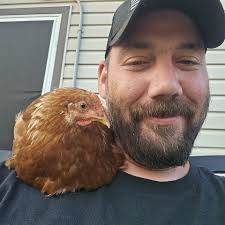 Can you paint pressure treated lumber inside a chicken coop?