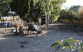 We did not find results for: Chicken Coop In The Village We Visited Photo