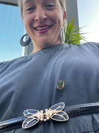 Parasols in the sky near Chicago