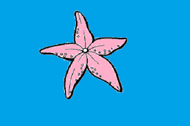 We did not find results for: Cara Berkembang Biak Bintang Laut Referensi Bebas