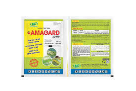 Amagard 30WP