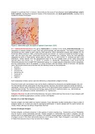 Qauntitative Analysis Of The Total Viable Count Of Aerobic Bacteria A