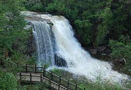 The youghiogheny river flows along the park's borders, passing through shaded rocky gorges and creating rippling rapids. Swallow Falls State Park