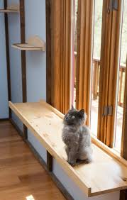Your feline knows that her ancestors were worshipped as goddesses in ancient egypt. Adding A Large Window Perch Provides Plenty Of Room For Cats To Enjoy The View Cat Window Perch Cat Perch Diy Cat Furniture Diy