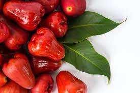 Em cada 100 gramas da polpa da fruta contém 50 calorias, além de tudo é rica em ferro, fosforo, proteína, vitamina do complexo b, b1 e b2, jambo ajuda. Beneficios Do Jambo Fruta