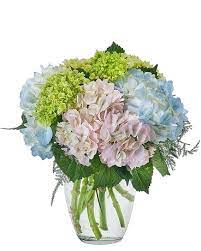 Maybe you would like to learn more about one of these? Fairfield Ct Local Florist Flowers Delivery By Hansen S Flower Shop
