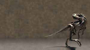 Dinosaur Wallpapers 1920x1080 Full Hd 1080p Desktop Backgrounds The great collection of dinosaur wallpaper hd for desktop, laptop and mobiles. dinosaur wallpapers 1920x1080 full hd