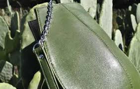 National institute of fashion technology bhopal is one of the prestigious fashion education institutes in bhopal, madhya pradesh. Getting Adequate Cactus For Leather Not An Issue Desserto Fibre2fashion