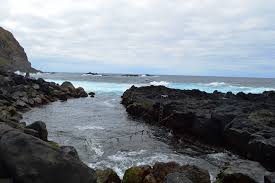 Image result for Ferraria