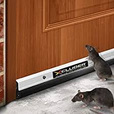 Call a pest control professional if you encounter a roof rat. How To Get Rid Of Rats 2021 Prevention And Treatment