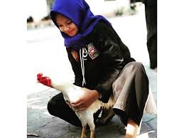 Ilmu Setia Hati Ayam Dewata Dalam Tradisi Setia Hati Facebook