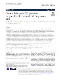 Changes in breathing can occur if lung cancer blocks or narrows an airway, or. Pdf Circular Rna Circsatb2 Promotes Progression Of Non Small Cell Lung Cancer Cells
