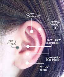 ピアスの開ける場所には意味があるって知っていましたか ちゃんとした場所に開けられるように意味おさらい おしゃれなピアスのつか方を紹介します ピアス 位置 ピアス 開ける ピアス