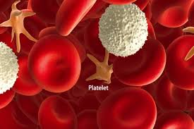 Image result for Platelet Count