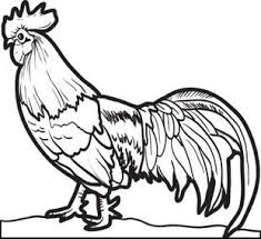 Realistic Chicken Coloring Page Chicken Coloring Chicken Coloring Pages Animal Coloring Pages