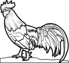 A female chicken is a hen. Pin On Coloring Pages To Print