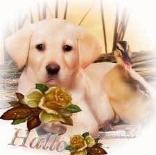 Https Encrypted Tbn0 Gstatic Com Images Q Tbn 3aand9gctyqfiswjfvl9jdr5twg3oznhxmk2c7fs Sbq Usqp Cau