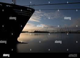 Msc sandra immagini e fotografie stock ad alta risoluzione