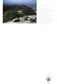 Image result for Helixanthera woodii