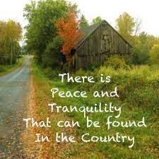 Pin On Country Beauty