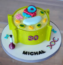 We did not find results for: Plant Cell Cake Cake By Crumb Avenue Cakesdecor