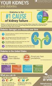 Learn about the different stages of chronic kidney disease in type 2 diabetes and how you can best manage this condition. Infographic Your Kidneys And Diabetes American Kidney Fund Akf