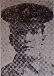 Search for " Whittle"