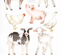 90+ dogs, cats, horses and wild animals is written and illustrated by p. Farm Animals Watercolor Clipart Crella