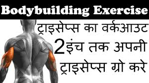 Complete Tricep Gym Workout Routine Watch Dis Youtube