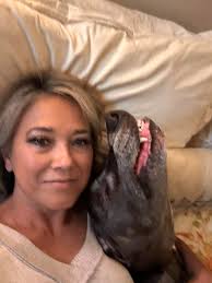 Thought you guys might appreciate this BIG OLE GREAT DANE ♥️♥️♥️