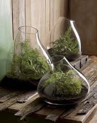 Indoor Garden For More Home Ideas Www Residentialattitudes Com Au My Portfolio Images Houseplants Succulents In Glass Glass Terrarium How To Make Terrariums