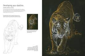 I saw the thumbnail and i thought r/drawing turned into a makeup subreddit and you drew a colored pencil line under your eye. Bearcroft V Drawing Painting Wild Animals Amazon De Bearcroft Vic Fremdsprachige Bucher