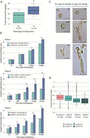 For centuries man has tried to channel this energy into more fulfilling areas and higher. A Key Role For Sex Chromosomes In The Regulation Of Parthenogenesis In The Brown Alga Ectocarpus Plos Genetics X Mol