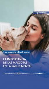 🐶 En Una Nueva Mañana de Cooperativa, Arnaldo Canales (@arnaldo_canales),  especialista en Educación Emocional y autor del libro "Amo a mi mascota"  😺, habló sobre cómo los animales domésticos pueden ...