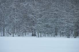 Solve Winter, Star Valley Wyoming jigsaw puzzle online with 96 pieces