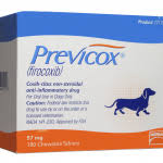 Guide To Previcox For Dogs Uses Dosage Sife Effects