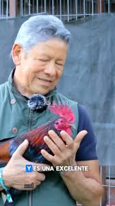 Los prietos de Spring Grove