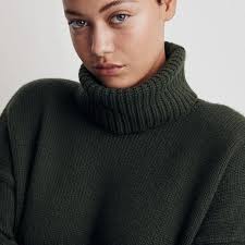 Madewell Sadler Turtleneck Sweater S